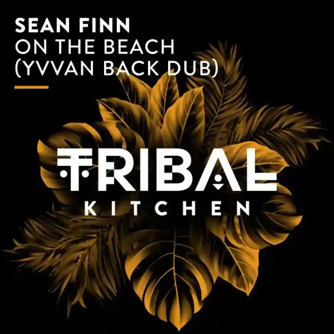 On the Beach (Yvvan Back Dub) cover