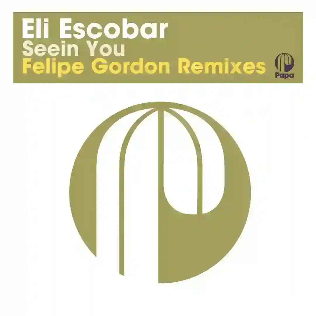 Seein You (Felipe Gordon Remix Edit) cover