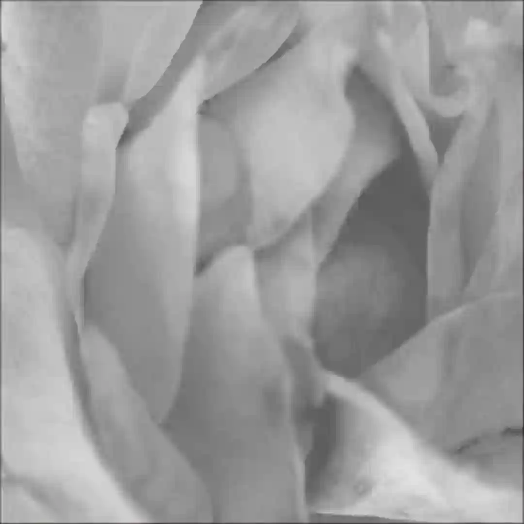 Yotta cover