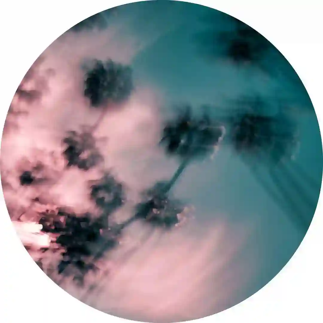 New Beginnings cover
