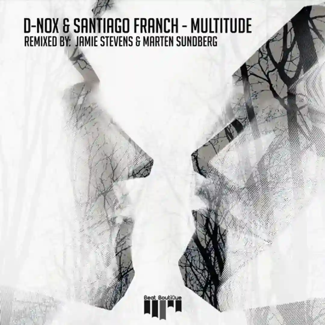 Multitude (Original Mix) cover