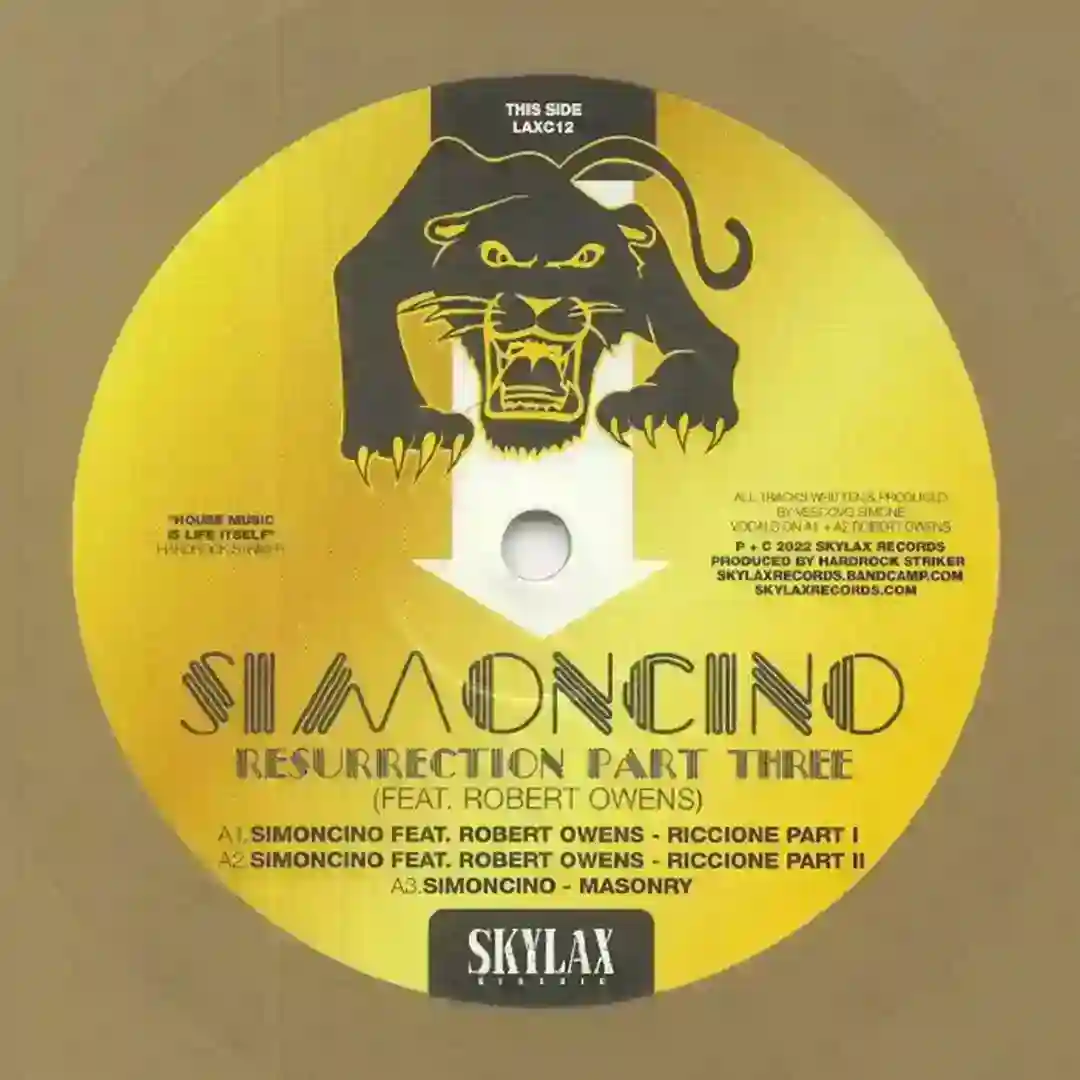 Riccione (feat Robert Owens - part 1) cover