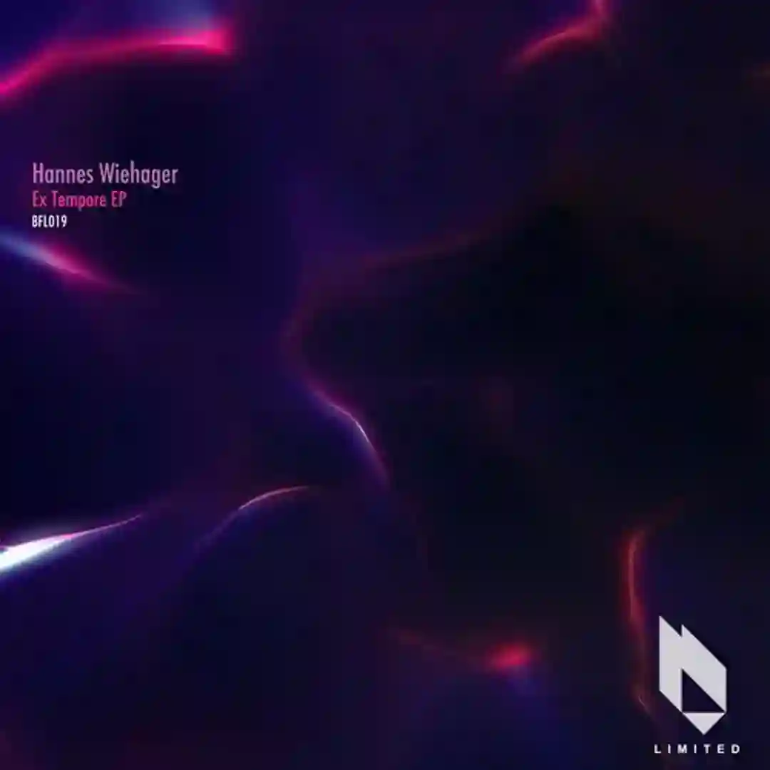 The Wall (Original Mix) cover