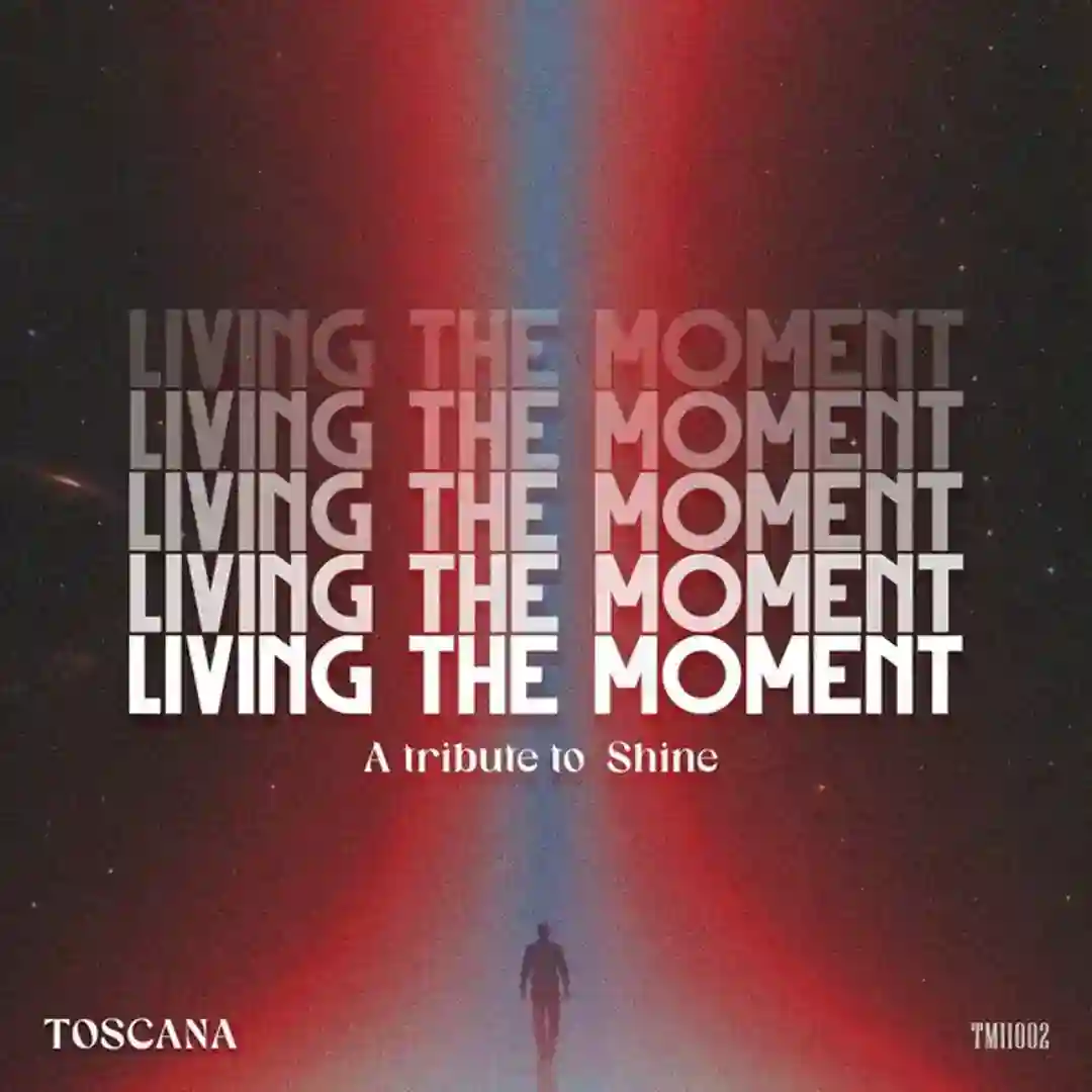 Living the Moment - A Tribute to Shine (Original Mix) cover