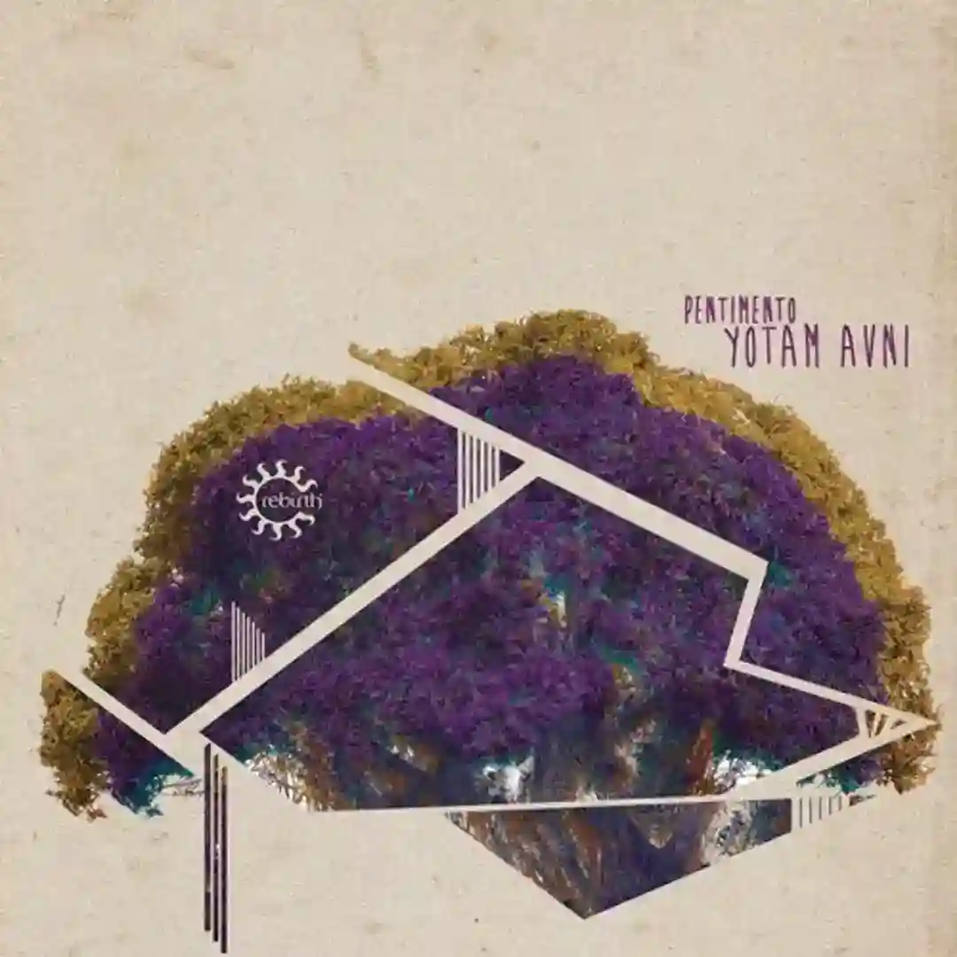 Pentimento cover