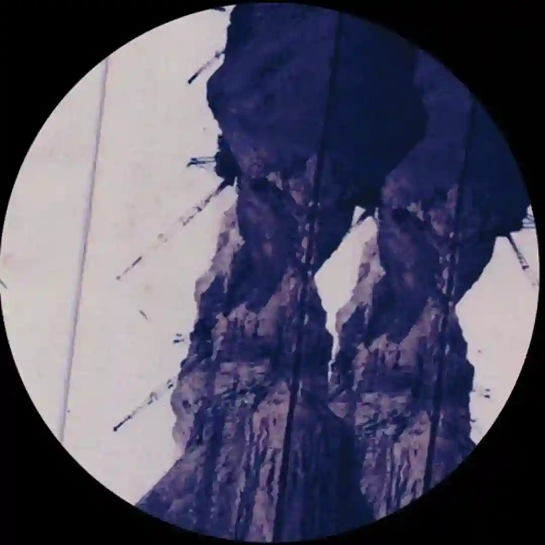 Voyage Voyage (Original Mix) cover