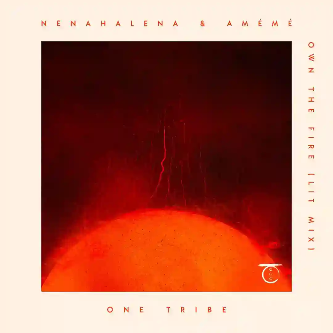 Own The Fire (Extended Lit Mix) cover
