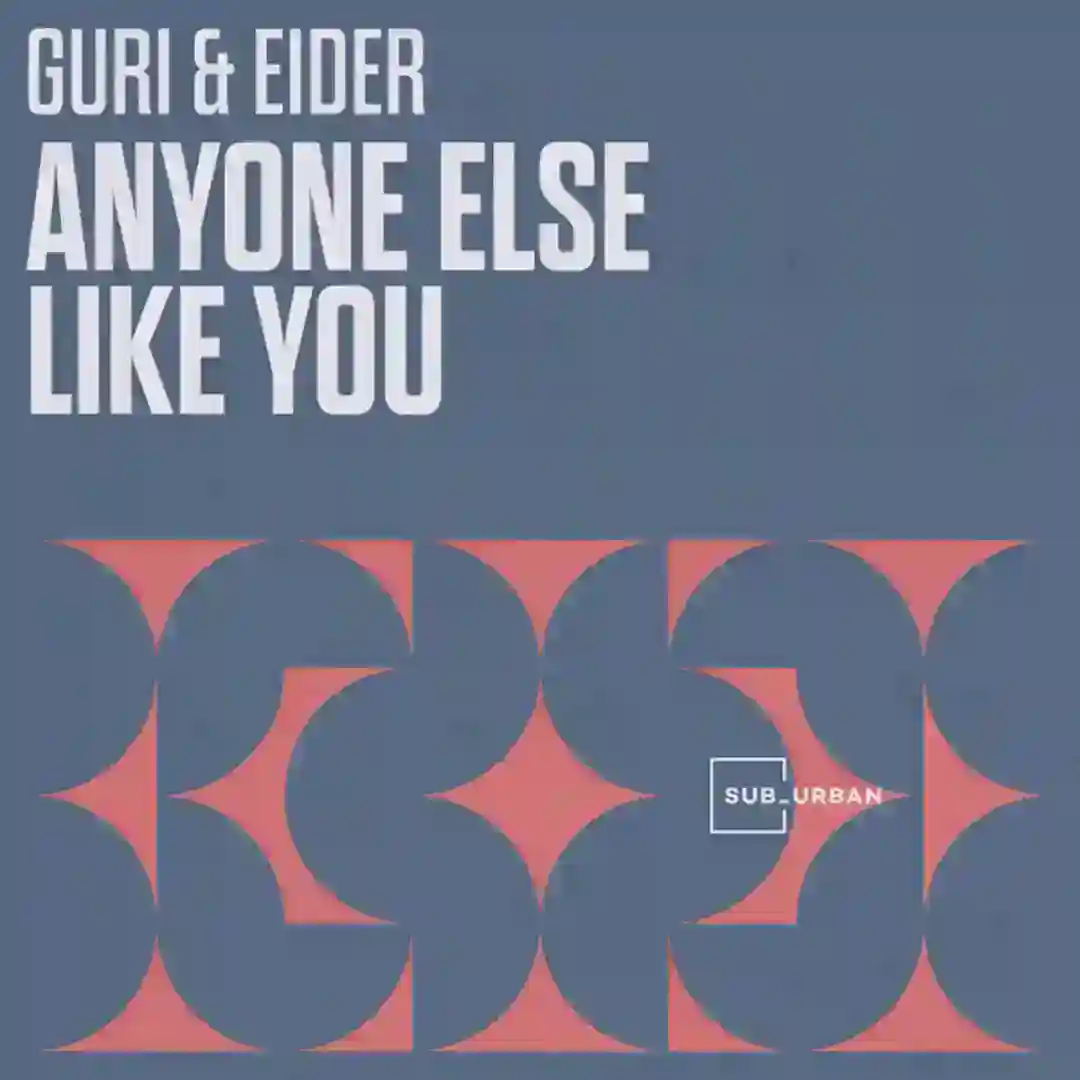 Anyone Else Like You cover