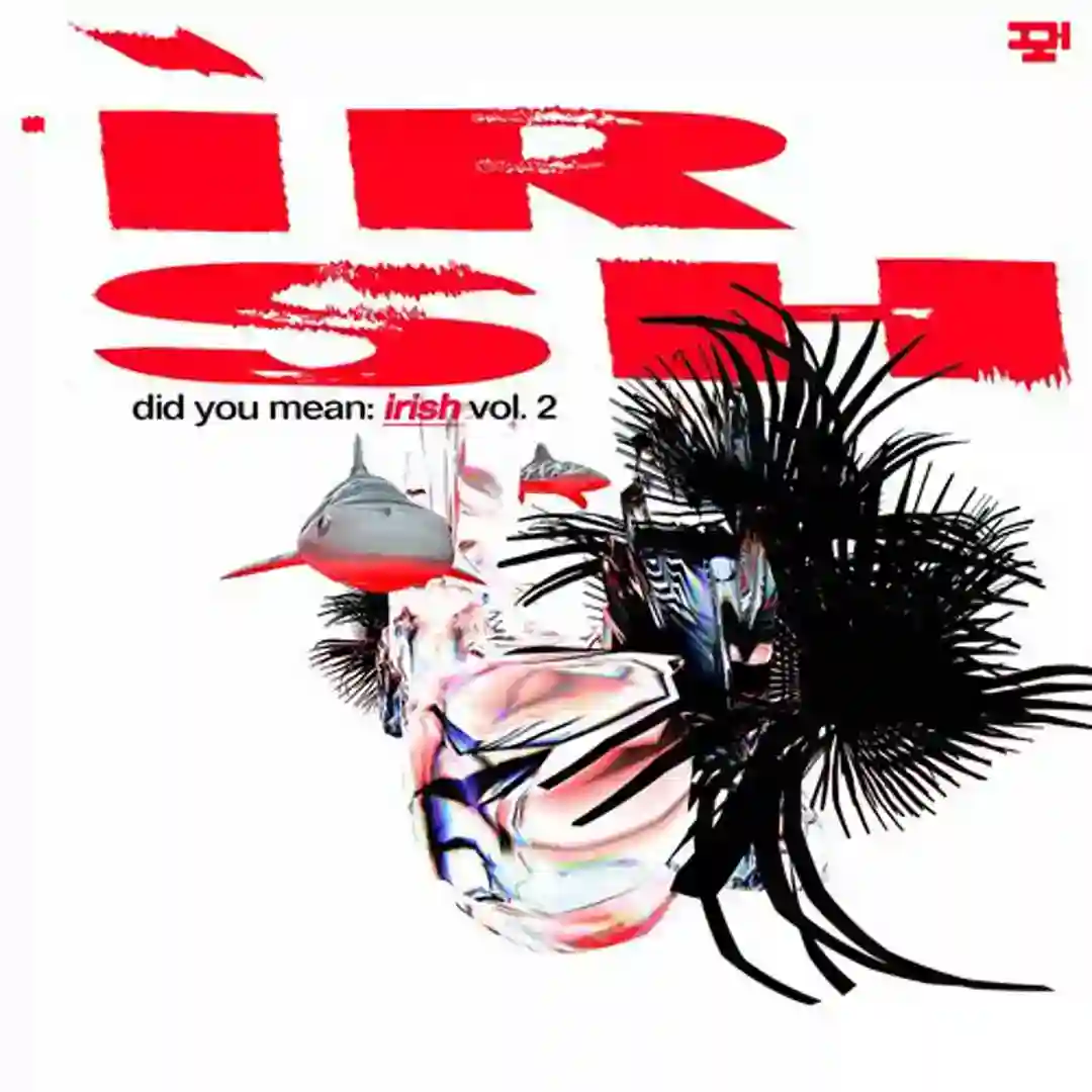 lY11 cover