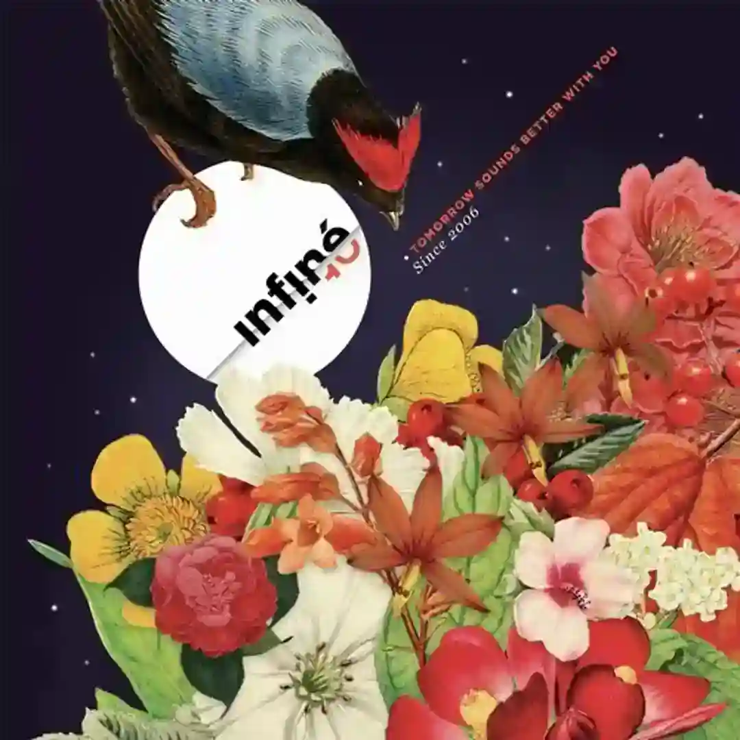 Knee Play 4 (Original Mix) cover