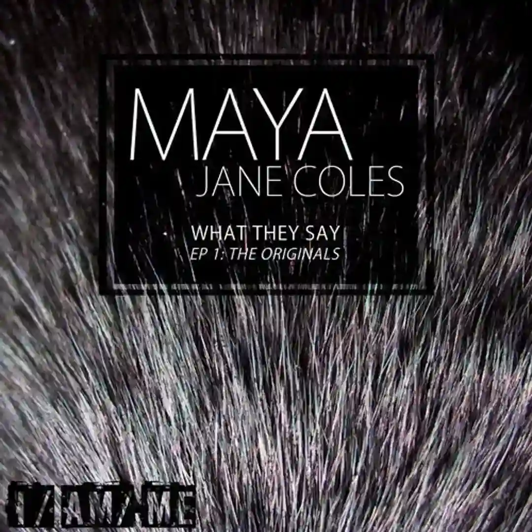 What They Say (Original Mix) cover