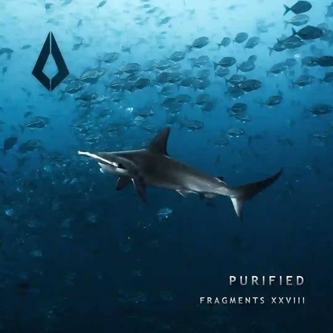 Aura (Extended Mix) cover