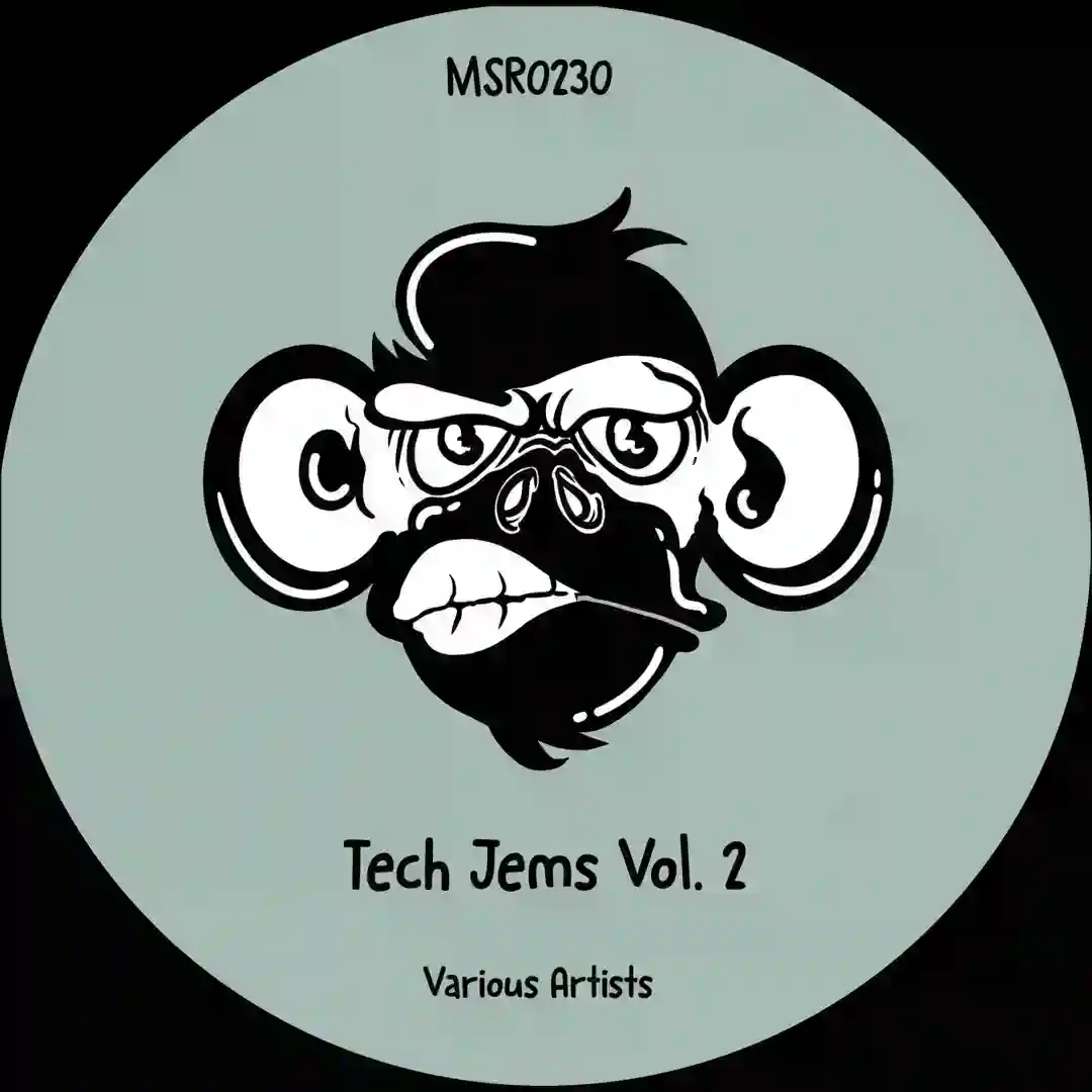 Vai Vai (Original Mix) cover