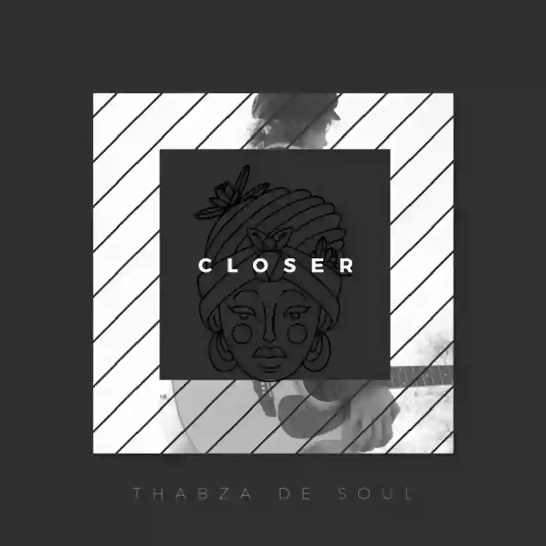 Closer cover