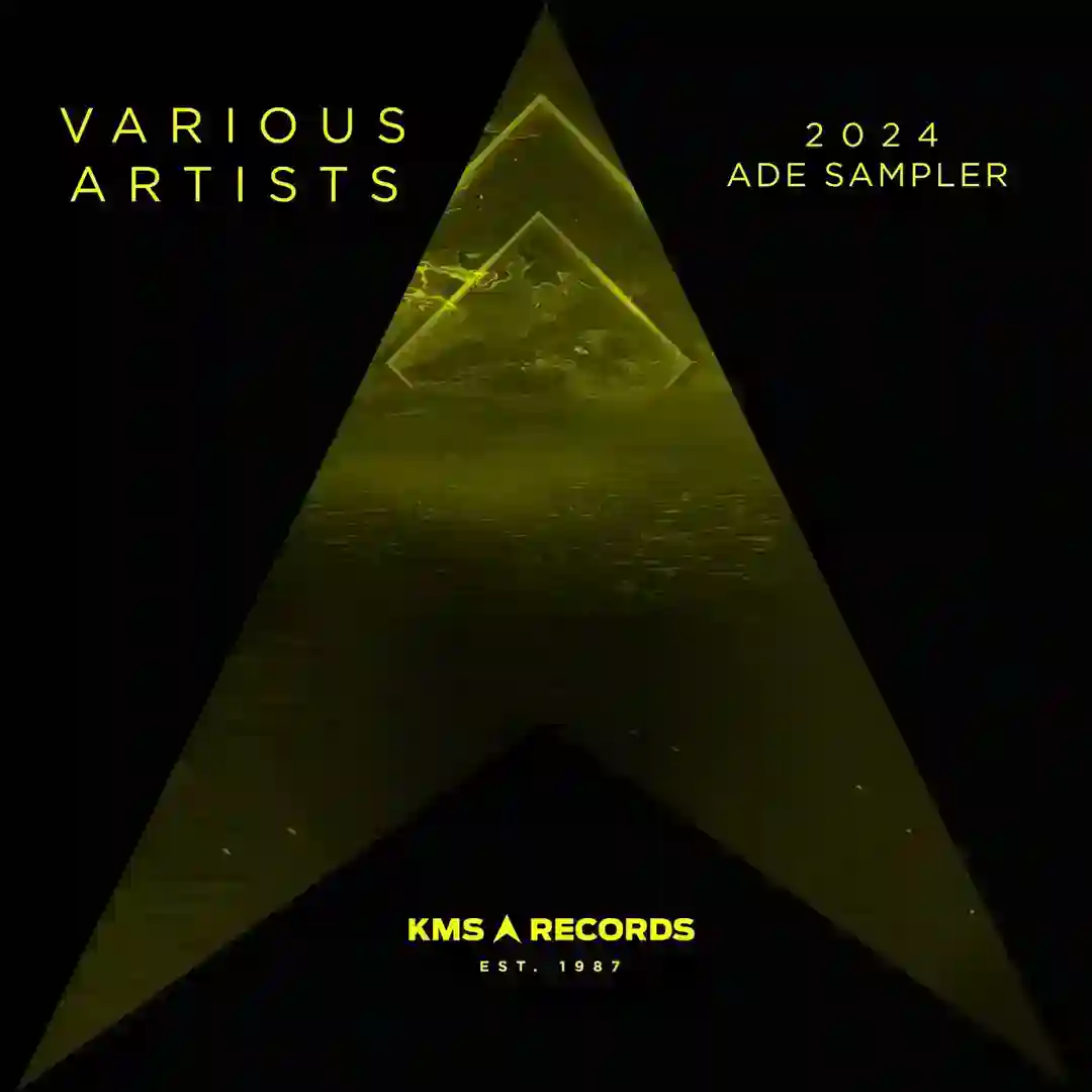 House Player (Original Mix) cover