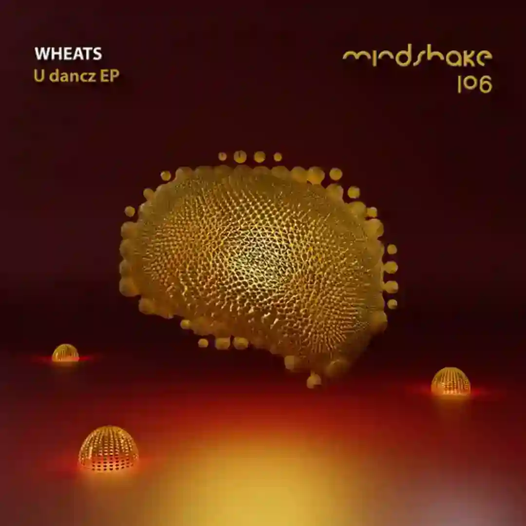 121 (Original Mix) cover