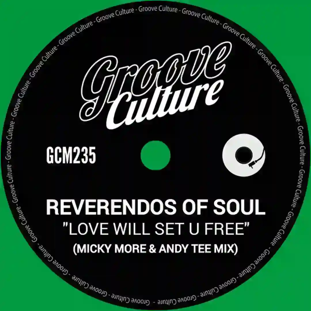 Love Will Set U Free (Micky More & Andy Tee Extended Mix) cover