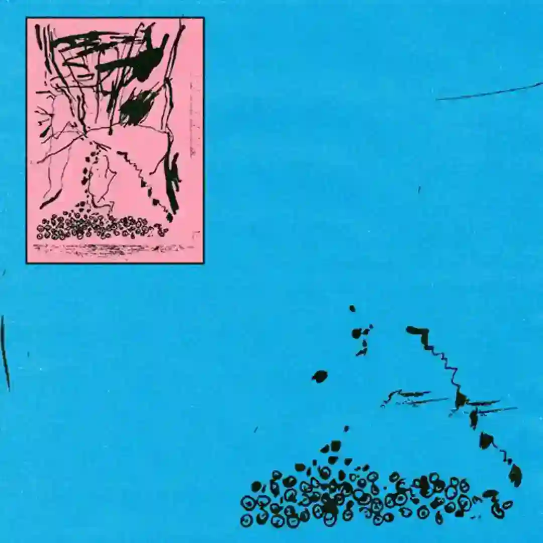 Pink Lakes in the Parallel cover