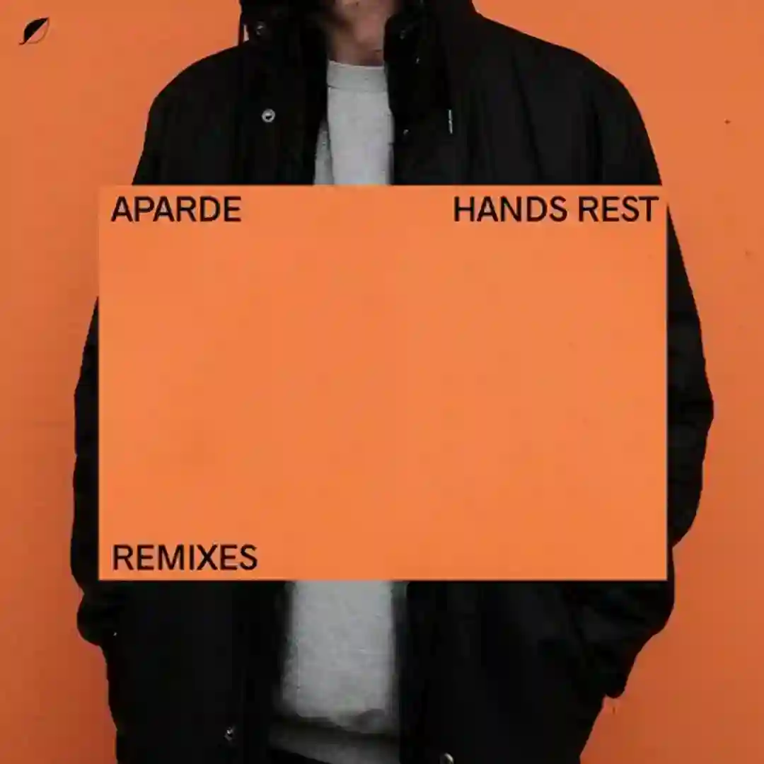 No Need (Robot Koch Remix) cover