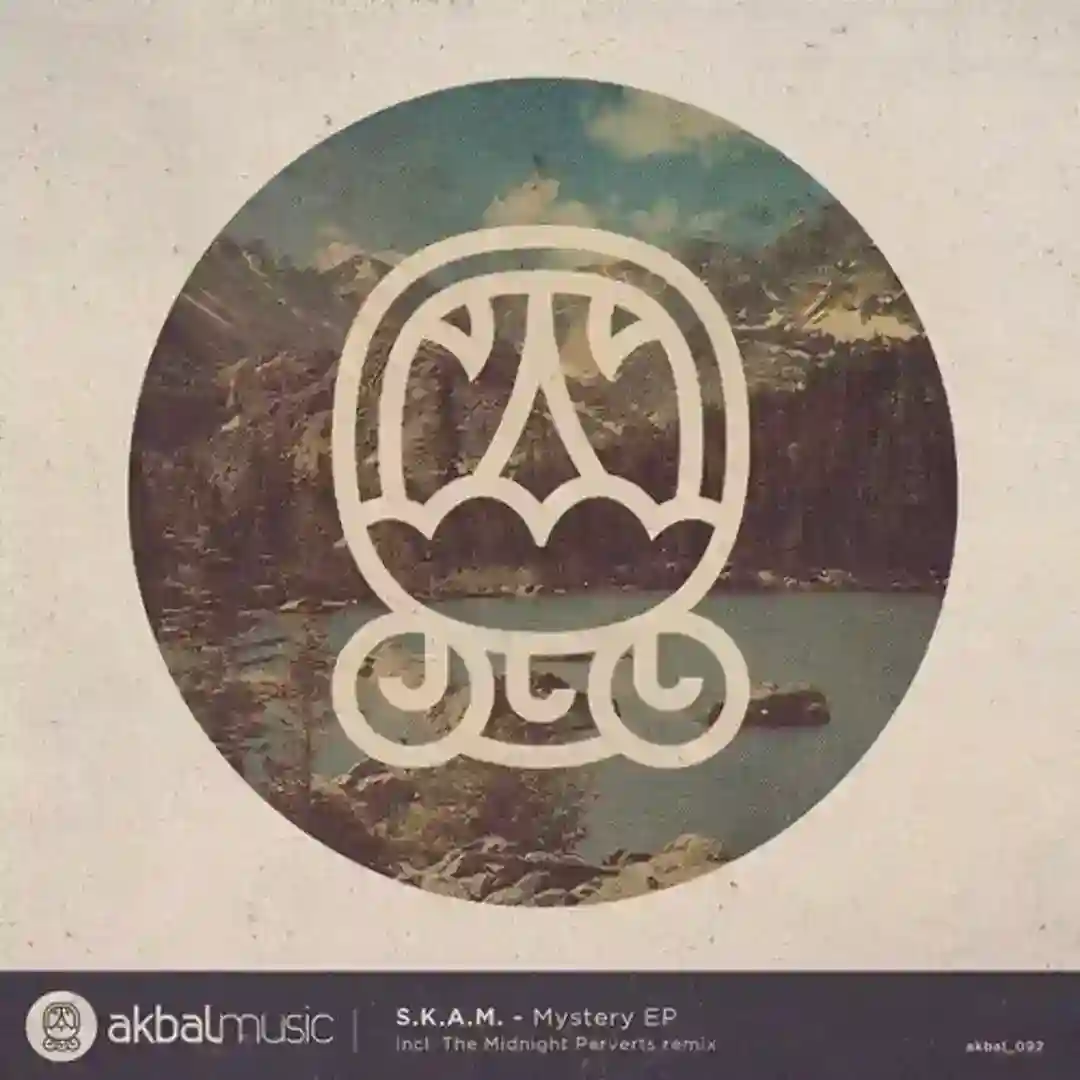 Mystery (Original Mix) cover