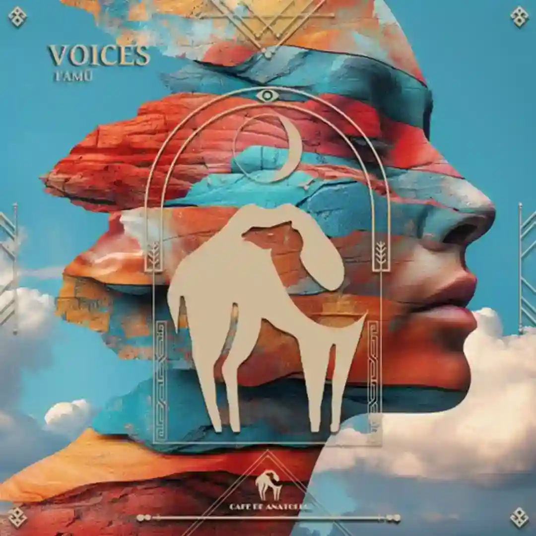 Voices (Original Mix) cover