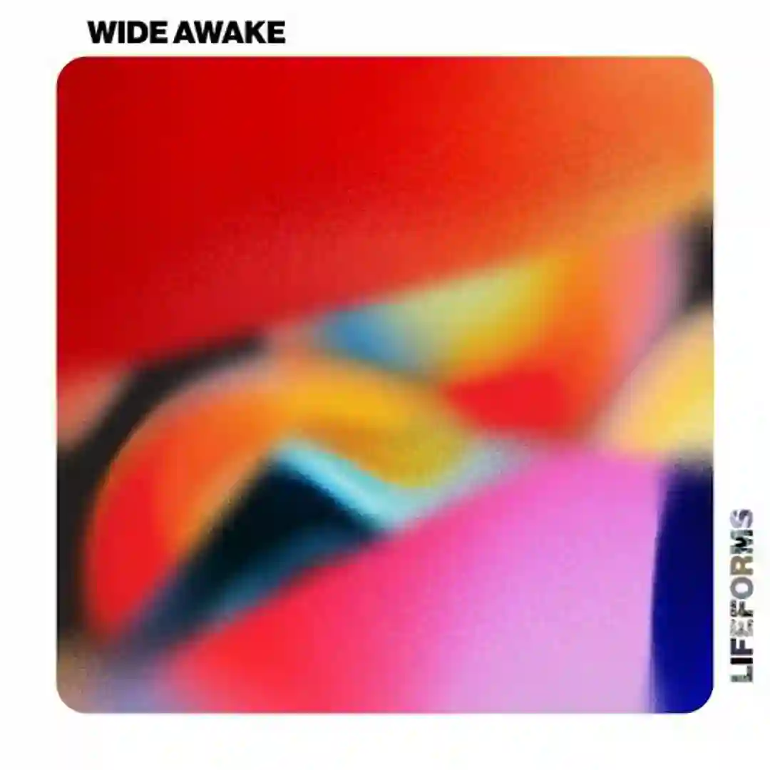 Wide Awake (Club Edit) cover