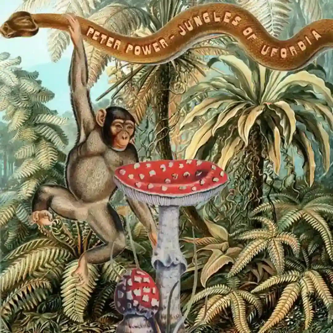 Jungles of Ufordia cover