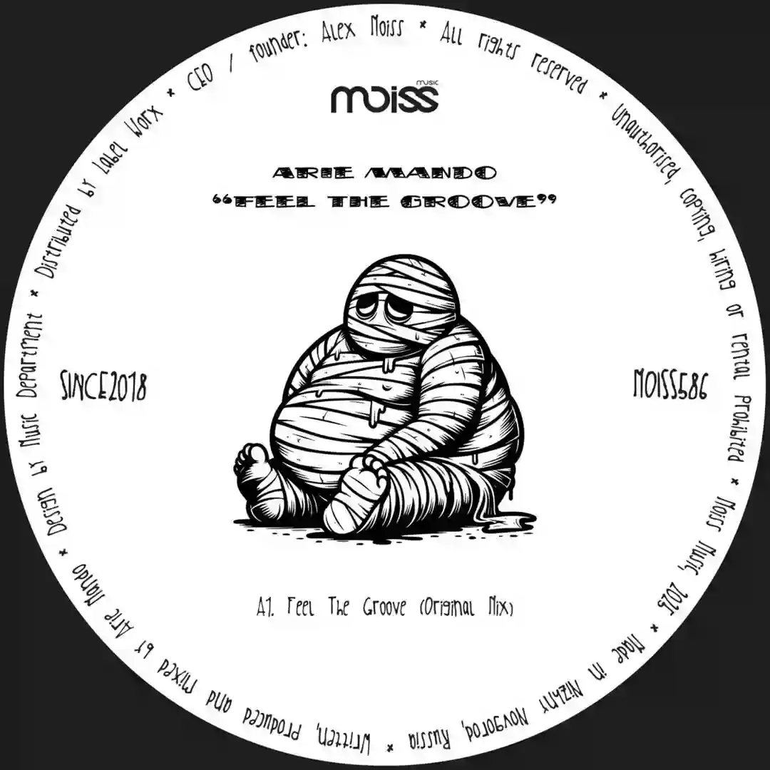 Feel The Groove (Original Mix) cover