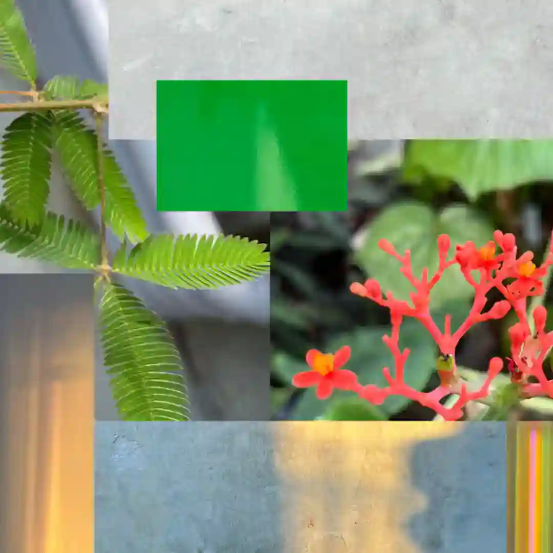Panorama cover