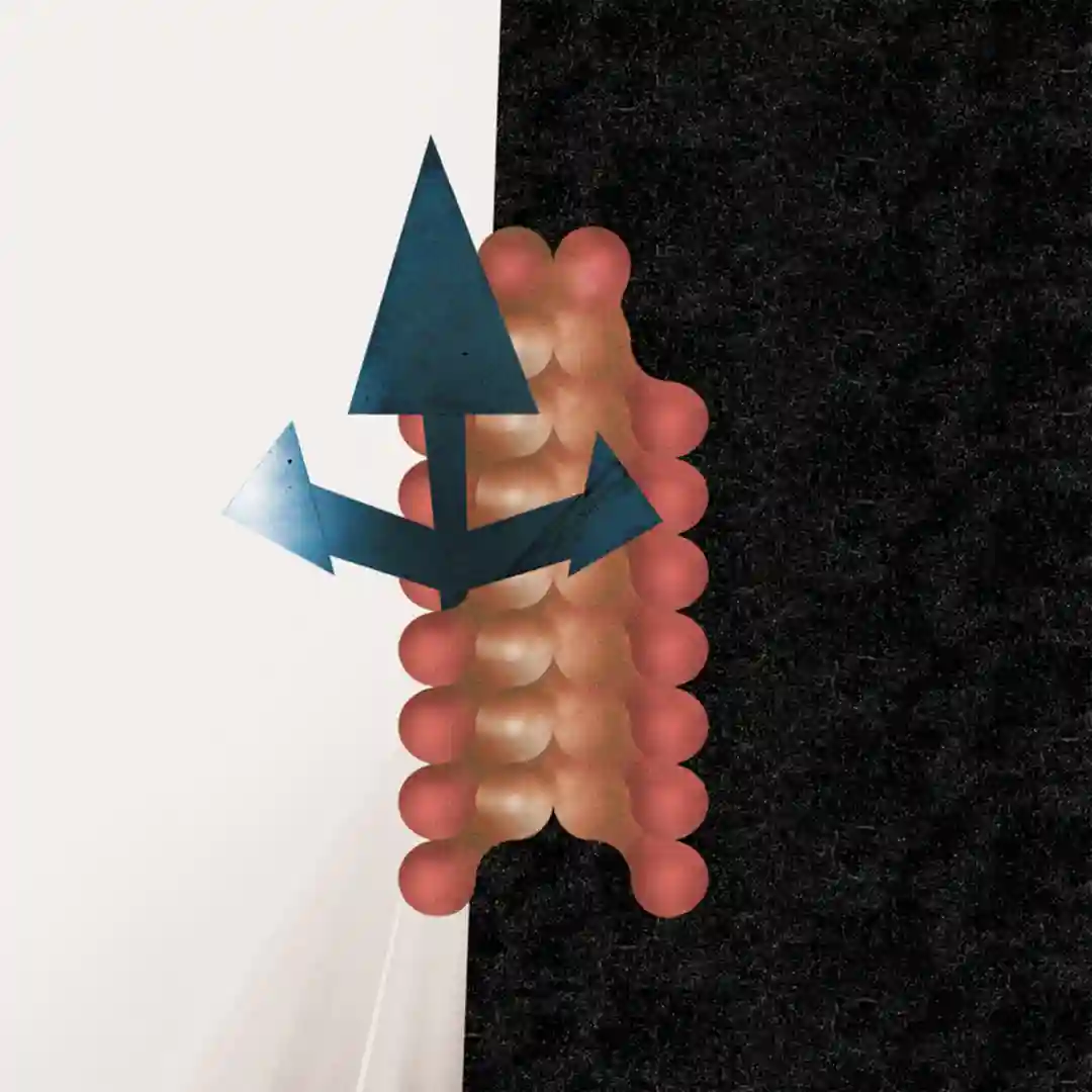 Cross Passage cover