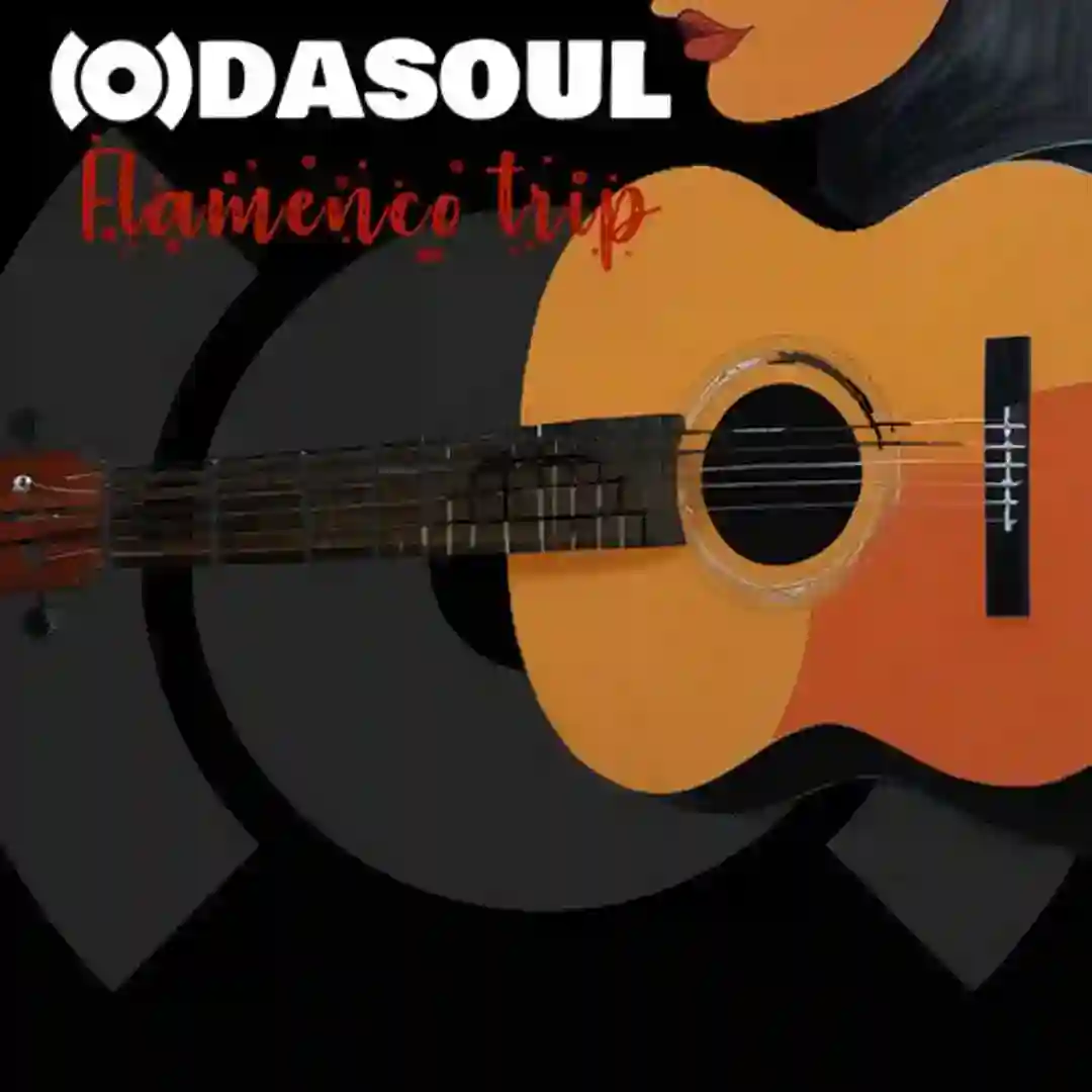 Flamenco Trip (Original Mix) cover