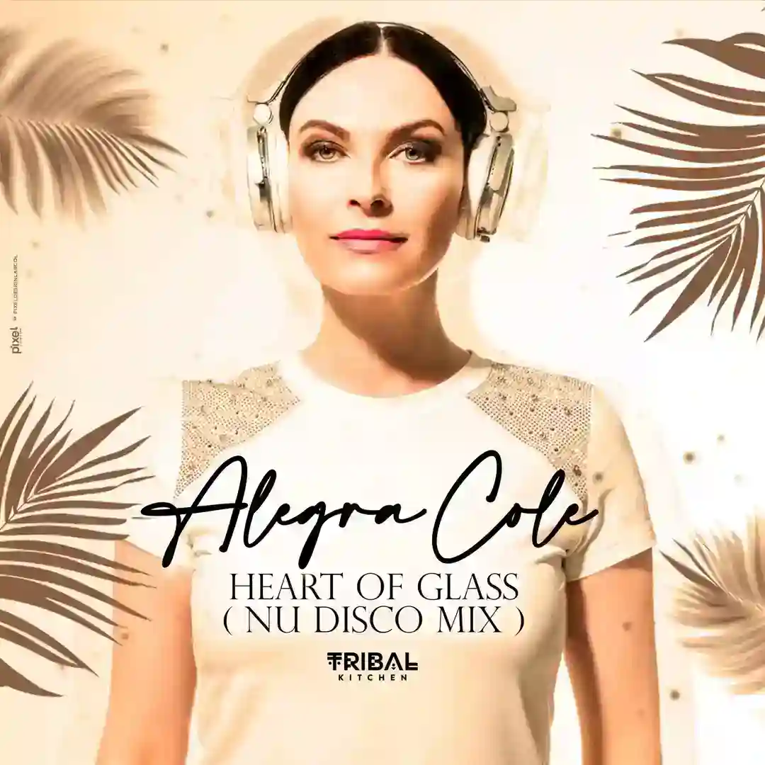 Heart of Glass (Nu Disco Mix) cover