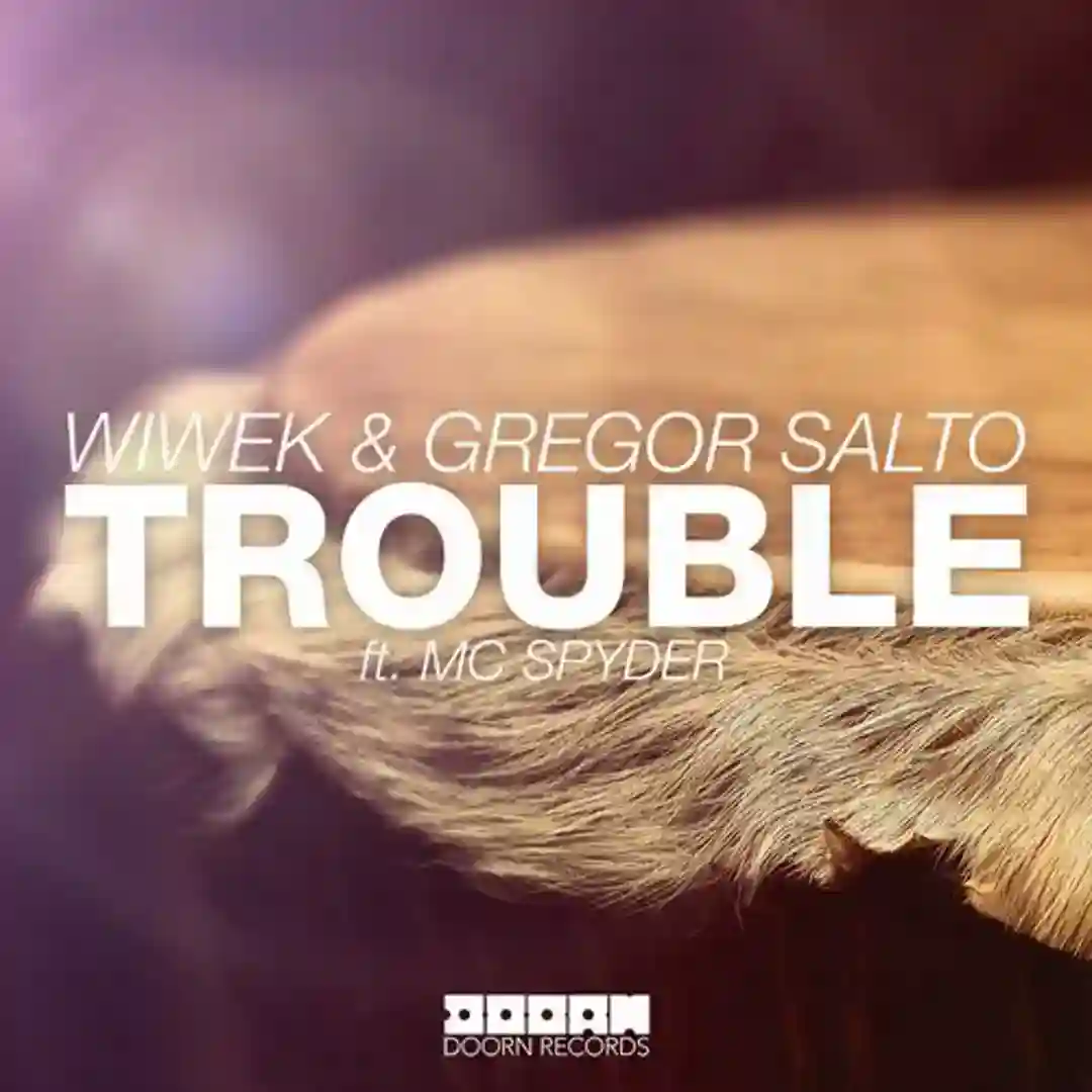 Trouble feat. MC Spyder (Original Mix) cover