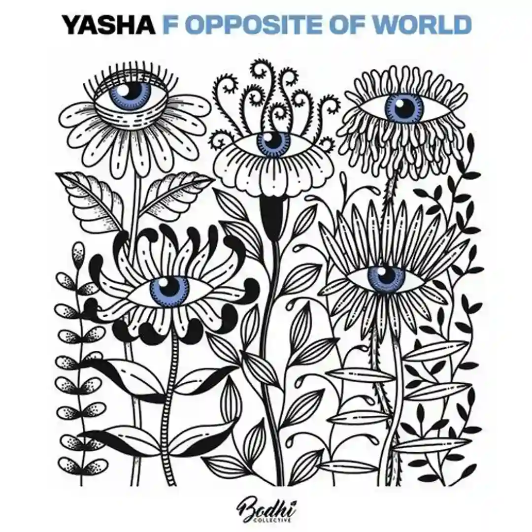Opposite of World (Original Mix) cover