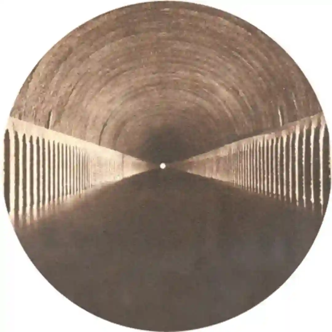 Vestibule cover