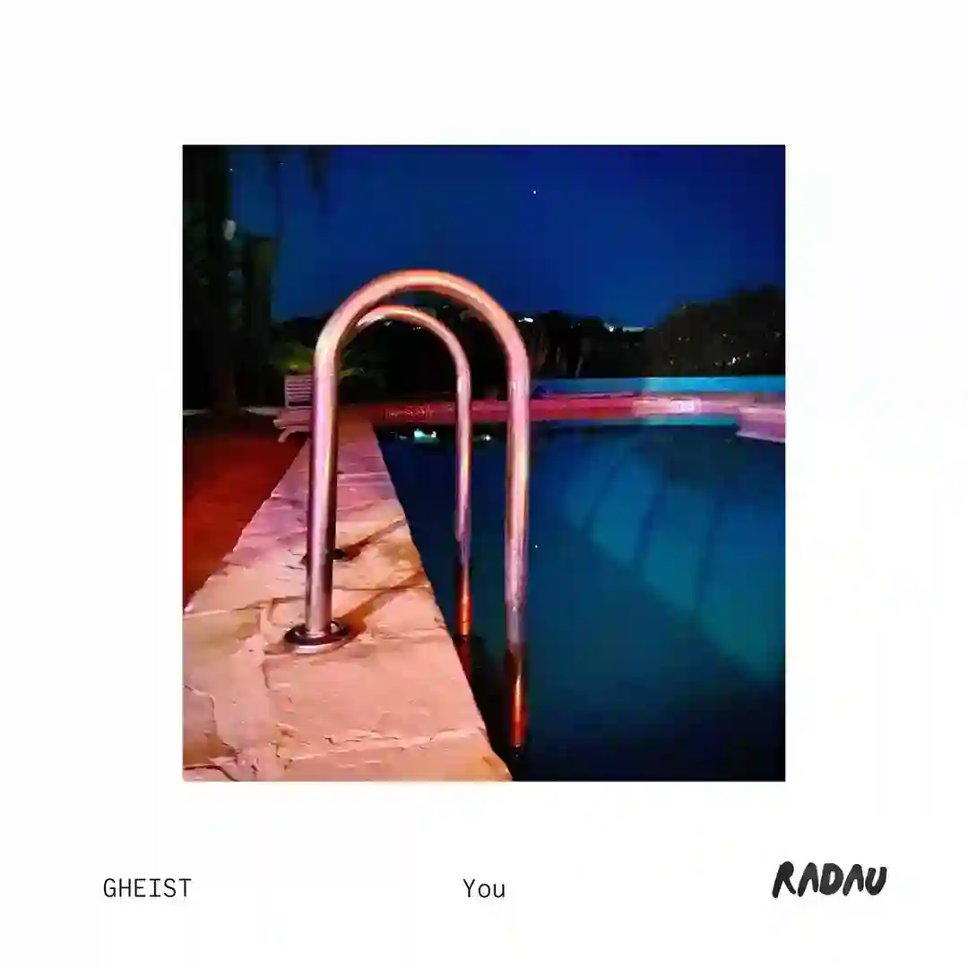You [RADAU09] cover