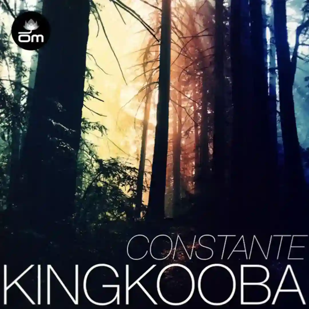 Denik cover
