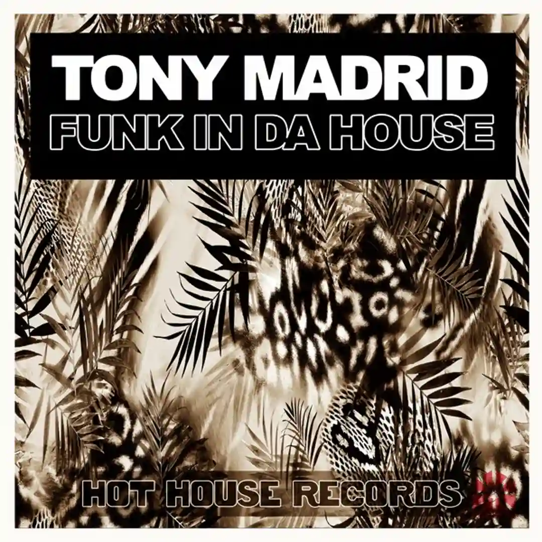 Funk in da House (Original Mix) cover