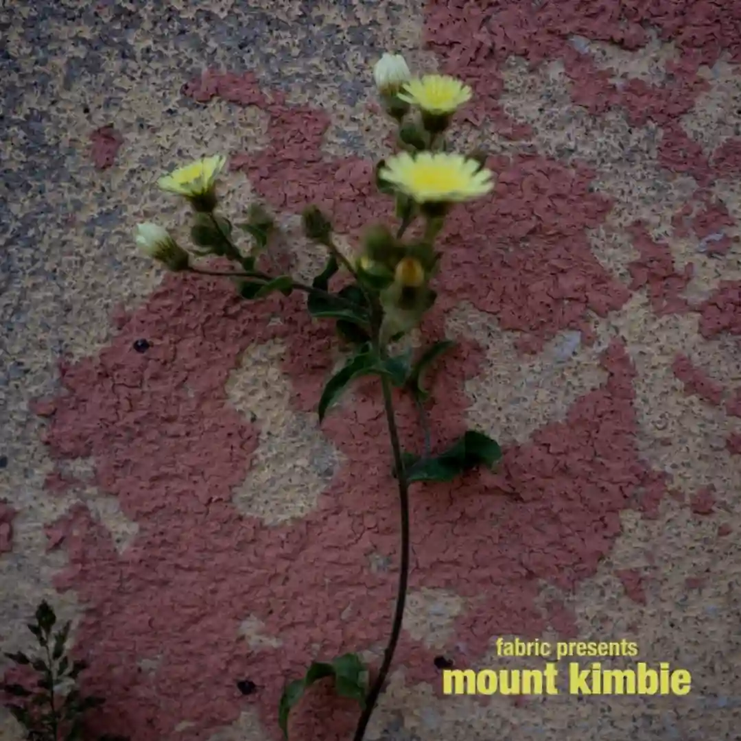 Strobe Light (Original Mix) cover