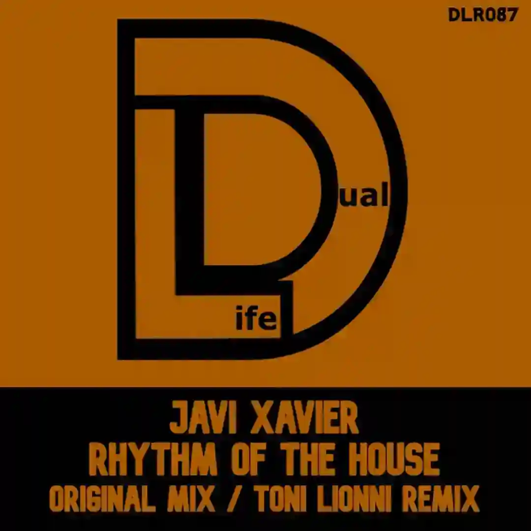 Rhythm of the House (Tony Lionni Remix) cover