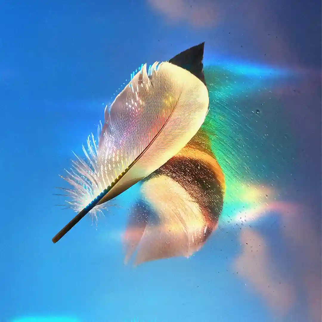 Airforce (Original Mix) cover