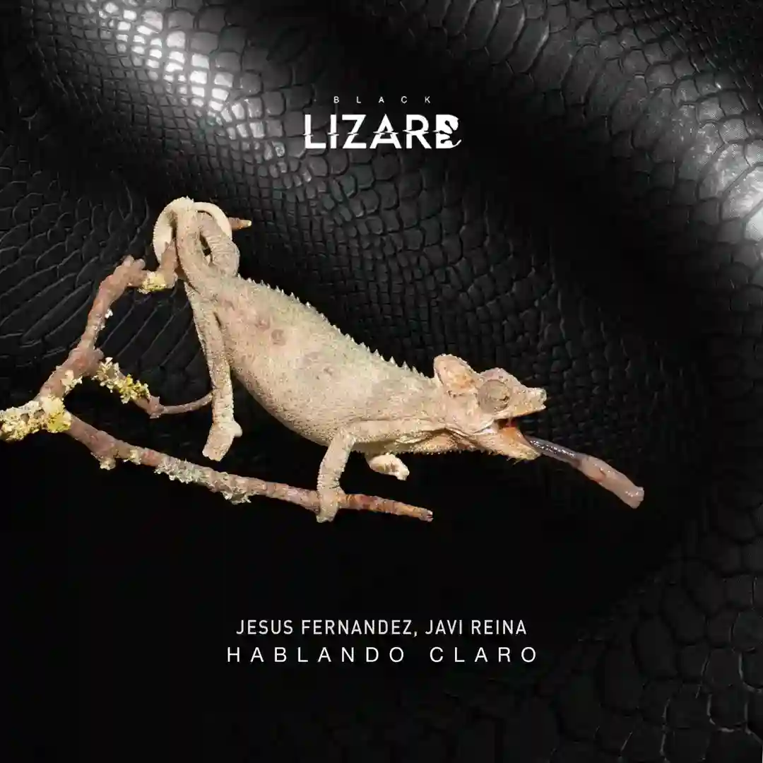 Hablando Claro (Original Mix) cover