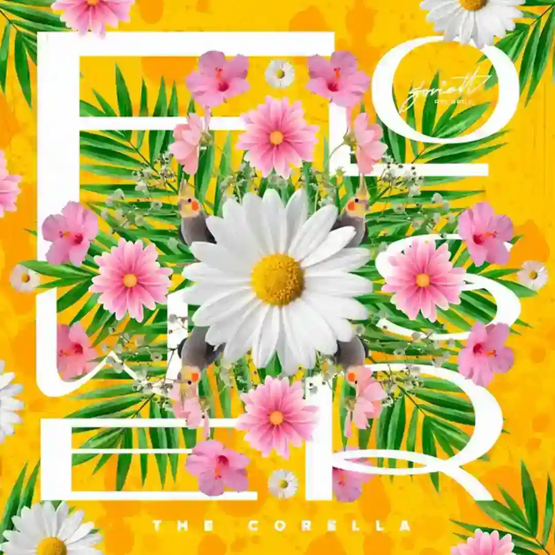 Flowers (Original Mix) cover