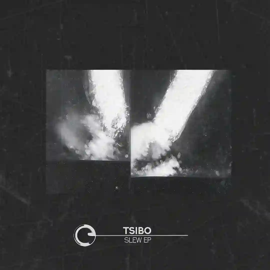 Slew (Original Mix) cover