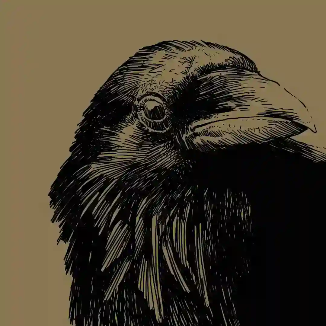 When You Show True Emotions (Original Mix) cover