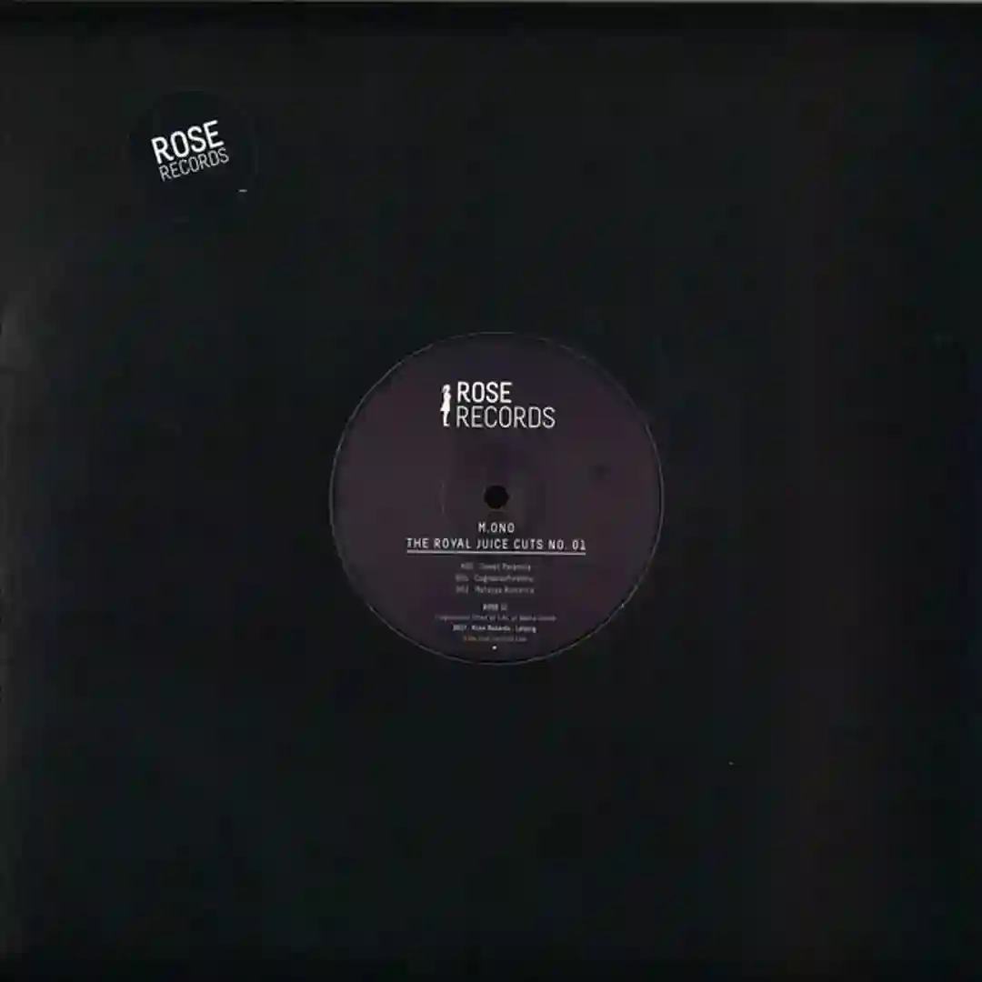 The Hidden Track cover