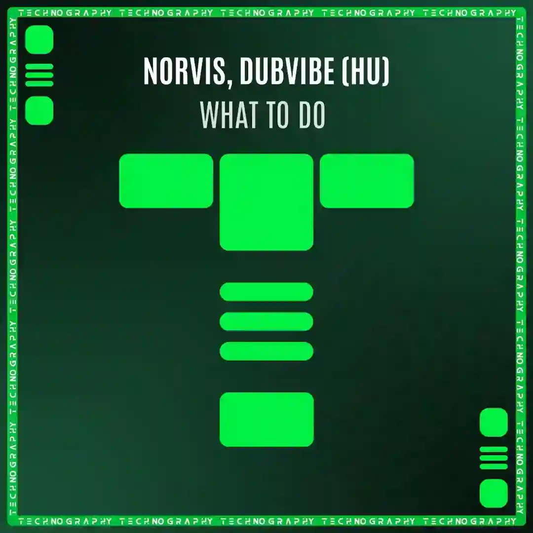 What to Do (Original Mix) cover