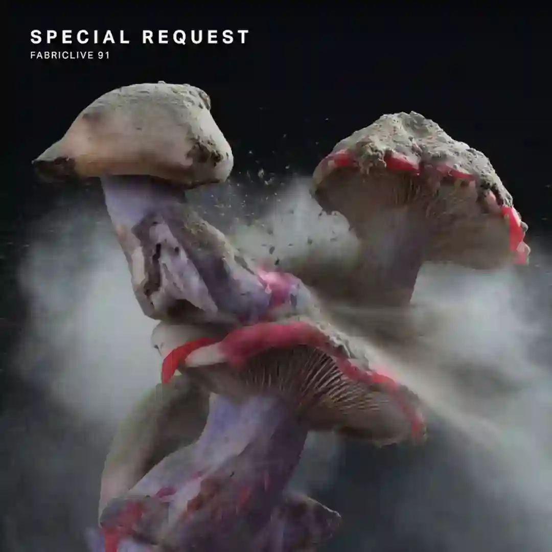 Telepathic Dog cover