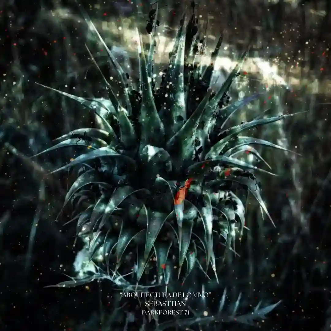 Nucleo (Original Mix) cover