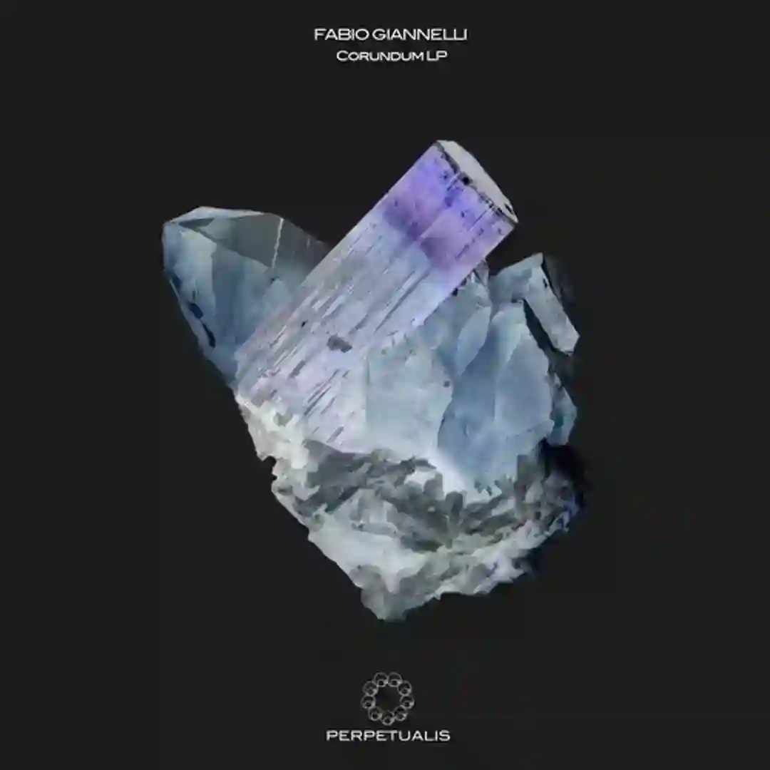 Panic Room (Original Mix) cover